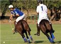 Argentario Polo Club - Stagione 2011