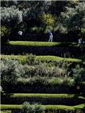 Calendario Gare Luglio - Argentario Golf Club