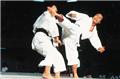 Stage Internazionale Karate Tradizionale